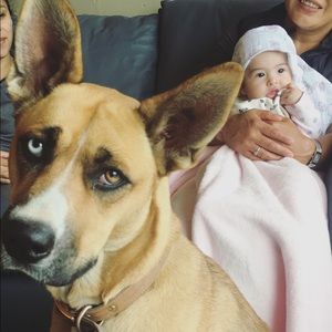 Meet your Posher, Edgar